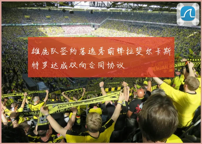 雄鹿队签约落选秀前锋拉斐尔卡斯特罗达成双向合同协议