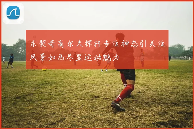 东契奇高尔夫挥杆专注神态引关注风景如画尽显运动魅力